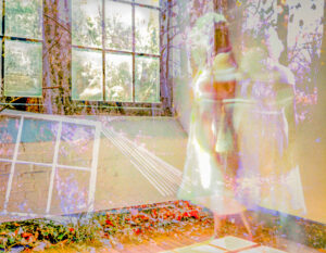 This Room Will Survive Me: Architecture and Interiority