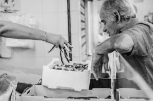Il mercato e la memoria (Mercato Ittico di San Benedetto del Tronto)