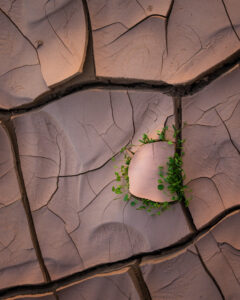 Desert Wilderness