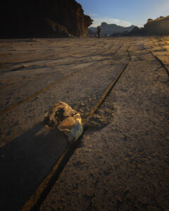 Desert Wilderness