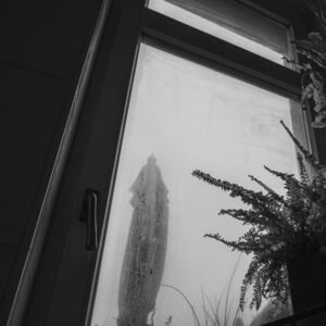 Where the Umbrella Waits