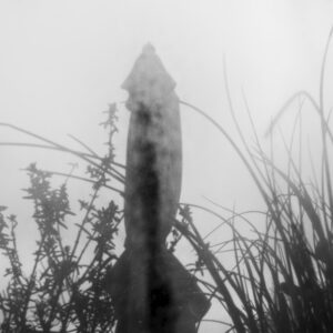 Where the Umbrella Waits