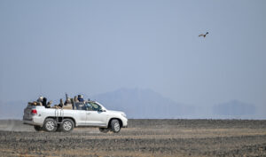 Falconry