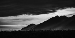 The Weight of Silence