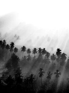 The Quiet Soul of INDIA