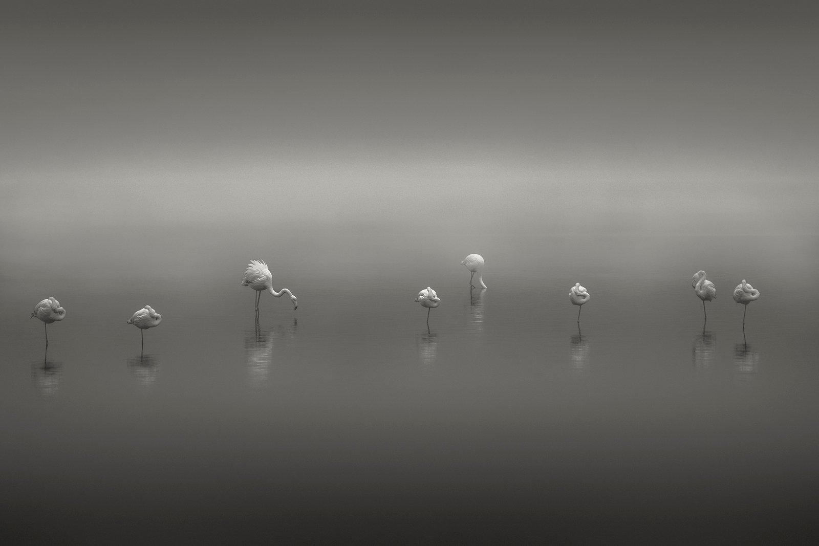The Gathering by Thomas De Franzoni
