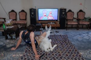 Generation Z in Iran