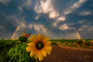 The Solitude of Storms
