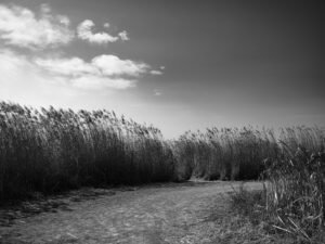 The Unreachable Horizon