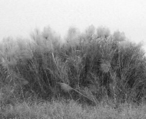 The Unreachable Horizon