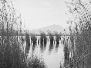 The Unreachable Horizon