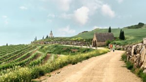 After the Rain – A Journey on the Camino