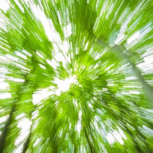 After Green – The Land Unravels