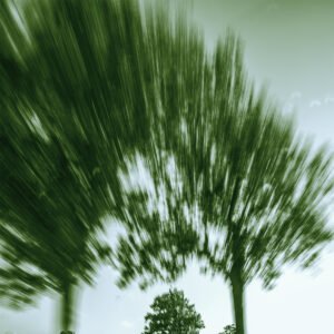 After Green – The Land Unravels