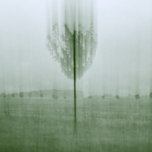 After Green – The Land Unravels