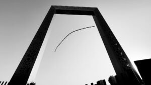 Wings Over Concrete