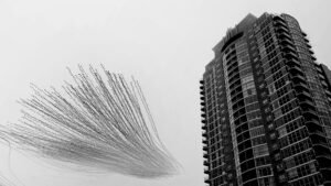 Wings Over Concrete