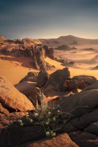 Beyond the Last Road